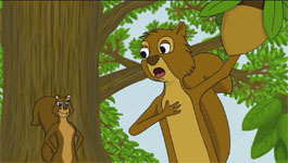 Squirrels video
